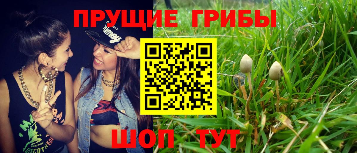 Псилоцибиновые грибы мухоморы Кандалакша
